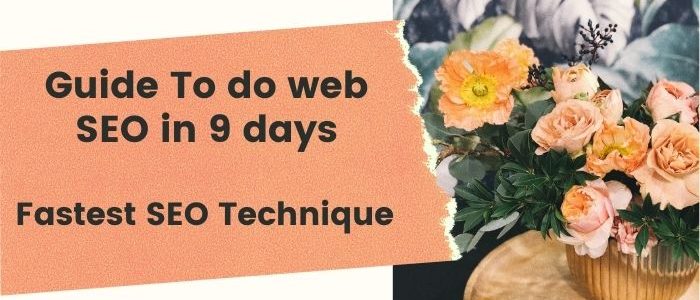 Guide To do web SEO in 9 days - Fastest SEO Technique