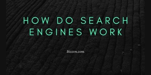 How Do Search Engines Work