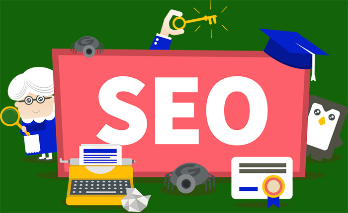 SEO Service Provider